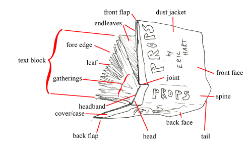 Diagram of the parts of a book