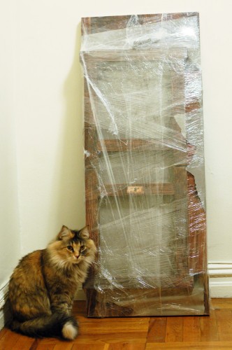 Wrapped Wrapped up for transport