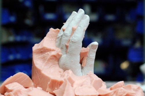 Plaster hand inside the alginate mold