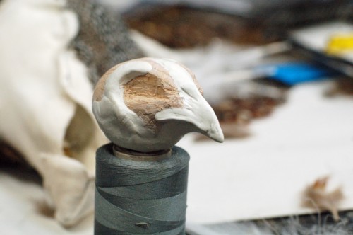 Sculpting and carving the head