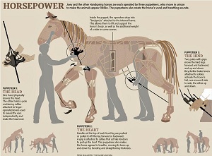 War Horse puppet