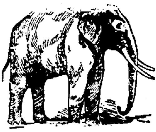 Framework of the Elephant